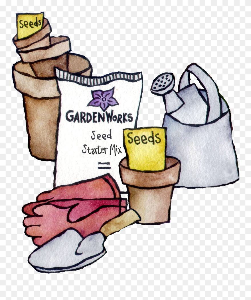 Transparent Planting Seeds Clipart - Planting Seeds Clipart - Png Download
