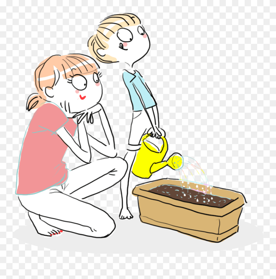 How To Grow Grain - خطوات زراعة النبات للاطفال Clipart