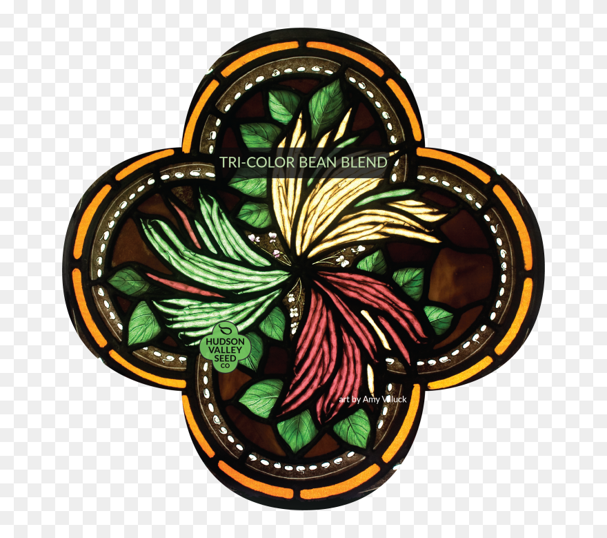 Seed Clipart Green Bean - Common Bean - Png Download