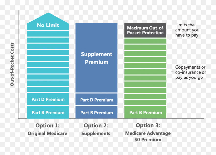 Medicareplus Pay Now Or Later - Colorfulness Clipart