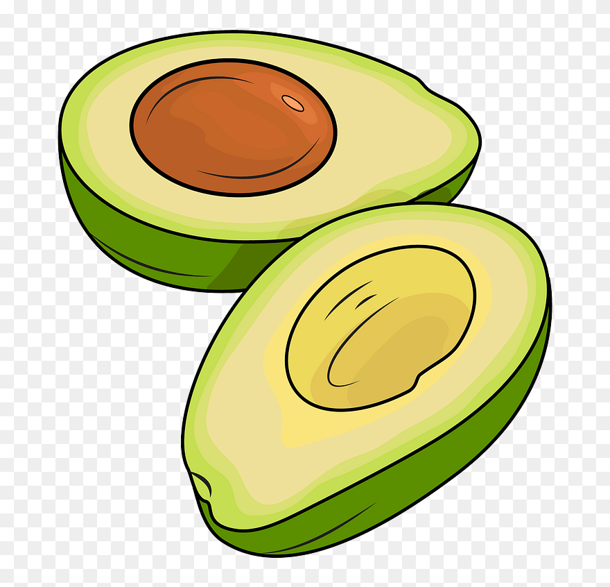 Avocado Halbieren Clipart - Half Avocado Clipart - Png Download