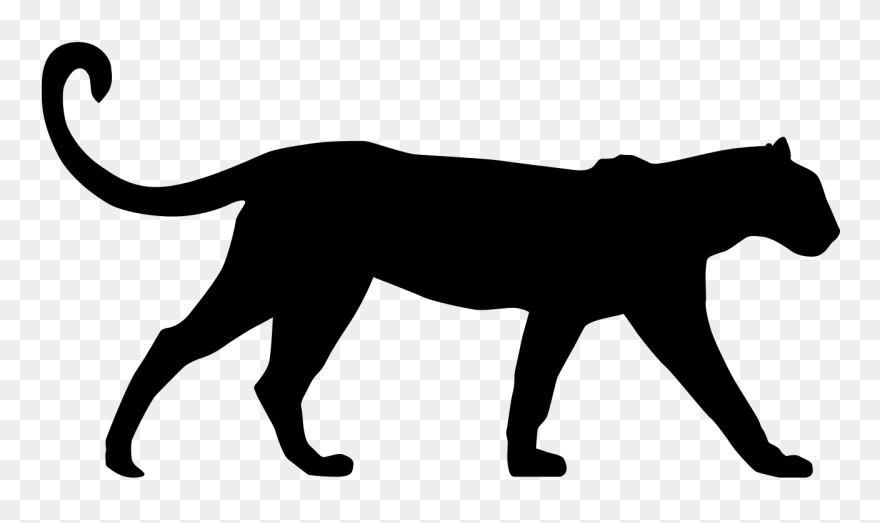 Snow Leopard Cat Cougar Clip Art - Snow Leopard Silhouette - Png Download