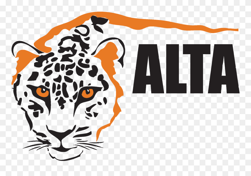 Transparent Wild Cat Clipart - Amur Leopard And Tiger Alliance - Png Download