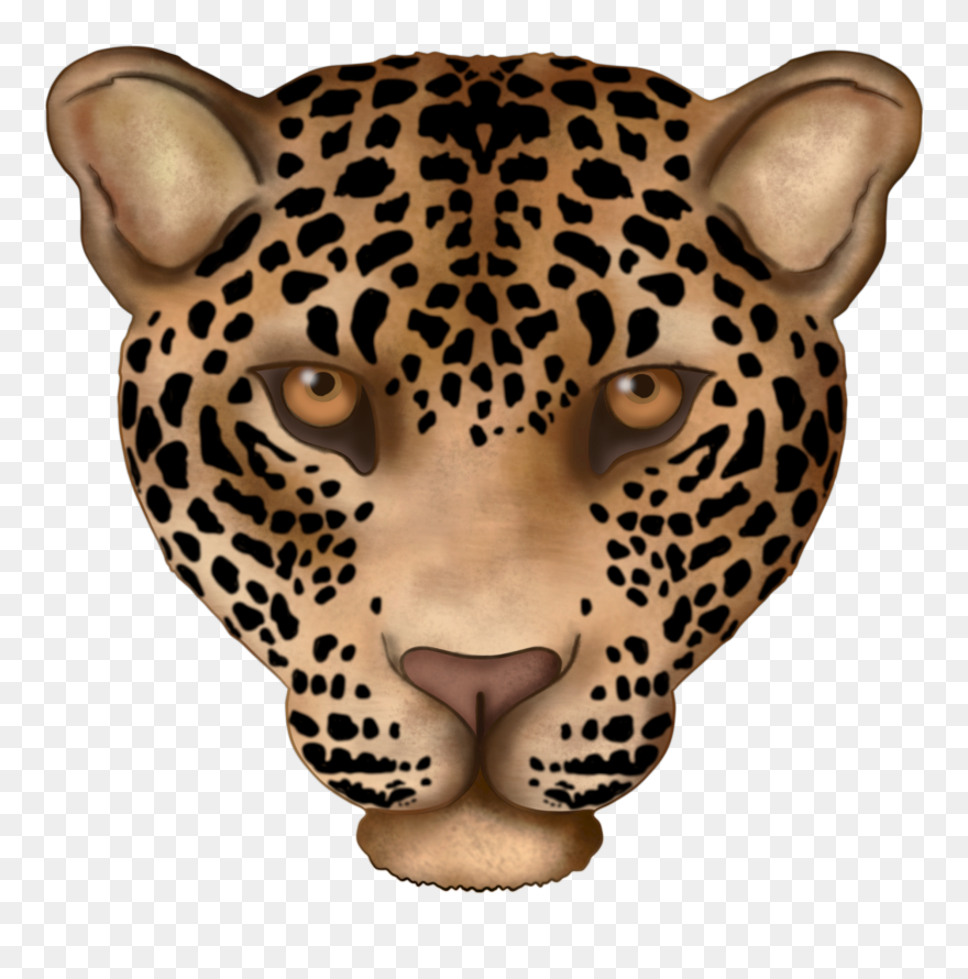 #jaguar #leopard #bigcats #wildlife #animals #head - African Leopard Clipart