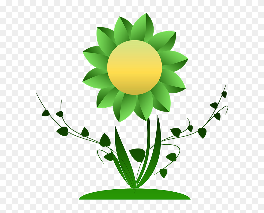 Vine Clipart Sunflower - Plantas Clipart Png Transparent Png