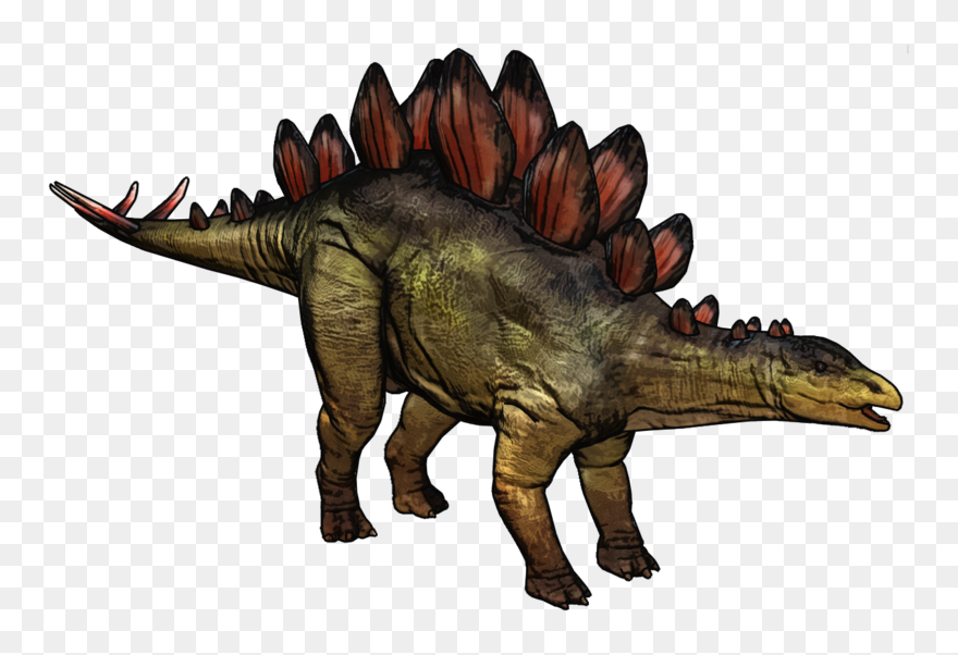 Stegosaurus Photos Free Clipart Hq - Stegosaurus Dinosaur Png Transparent Png