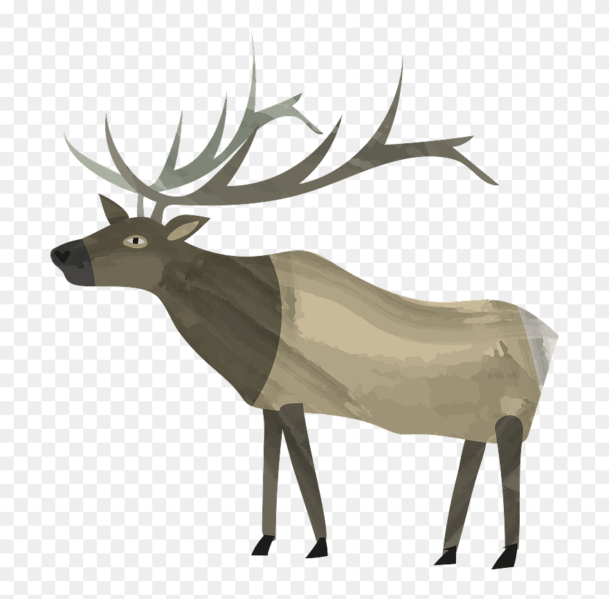 Elk Clipart - Elk - Png Download