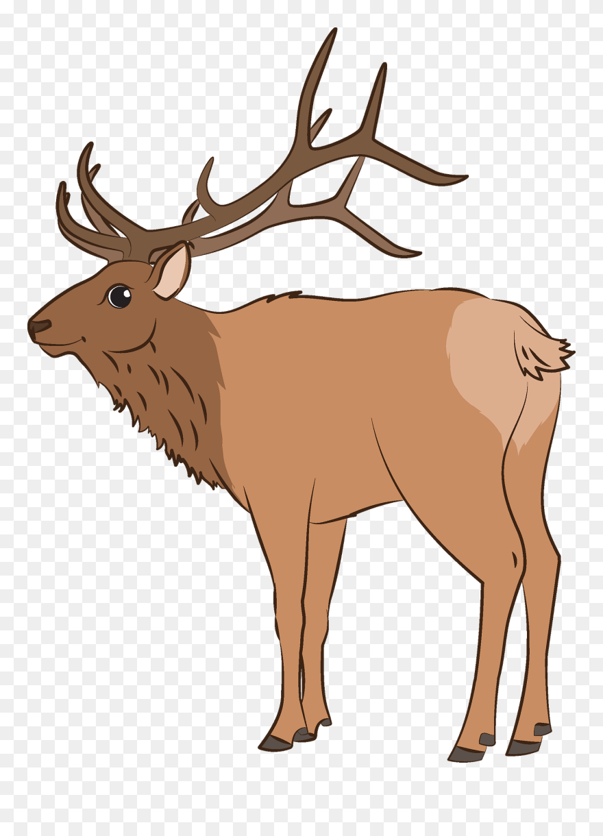 Antler Clipart