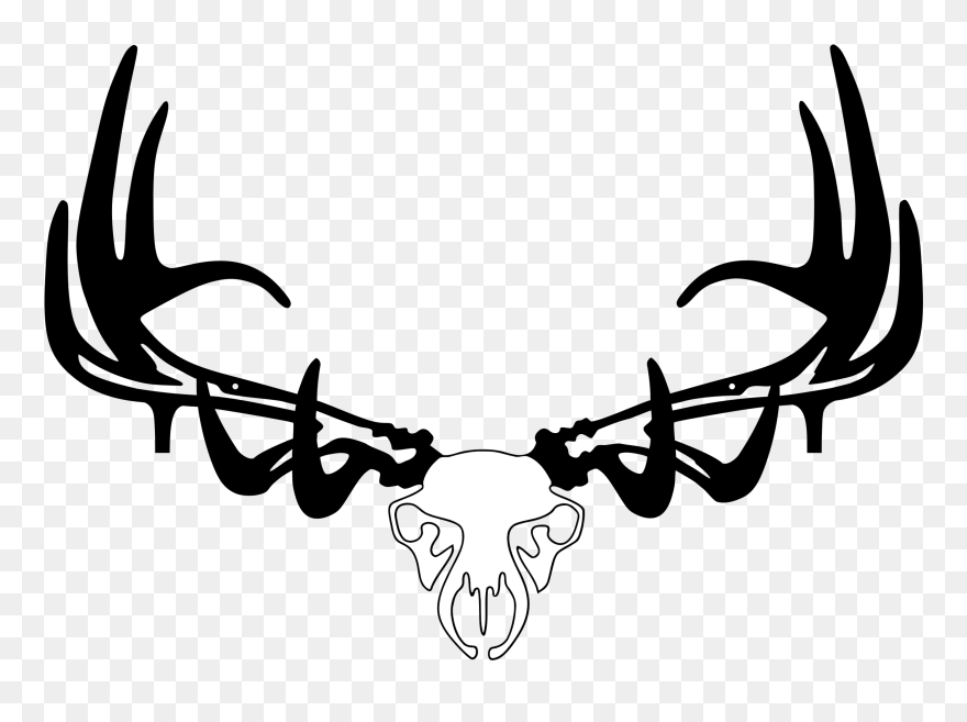 Transparent Elk Antler Clipart - Elk Bow Raxx - Png Download