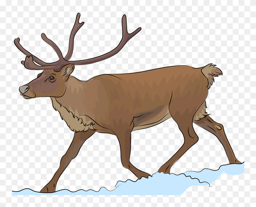 Reindeer Clipart - Png Download