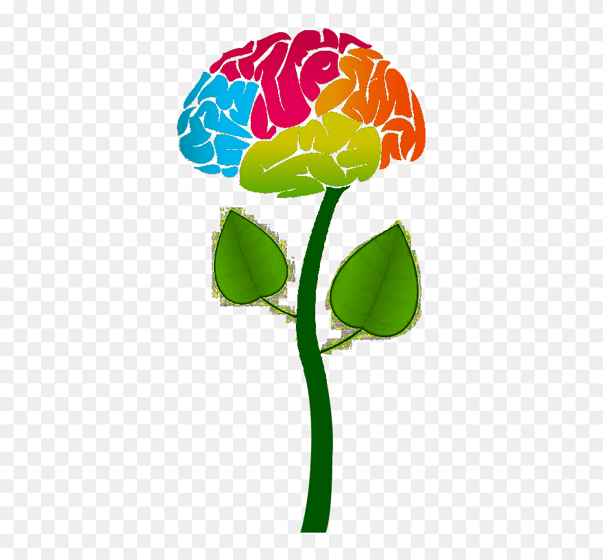 Brain Flower - Brain Clip Art Png Transparent Png