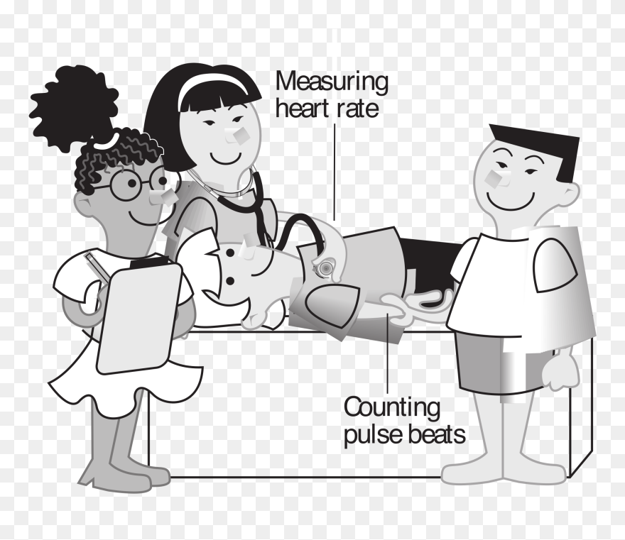 Kids Measuring Heart Rate Clip Arts - Head To Toe Assessment Cartoon - Png Download