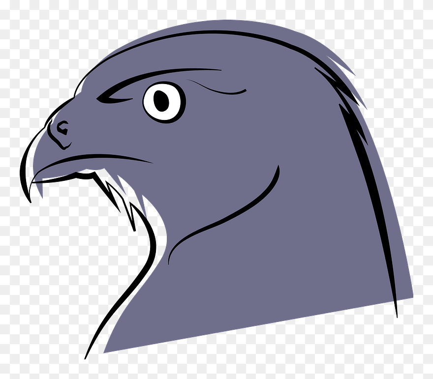 Falcon Face Clipart - Drawing Cartoon Falcon - Png Download