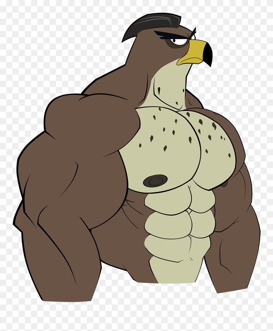 Falcon Graves - Drawing Of Cartoon Falcon Clipart