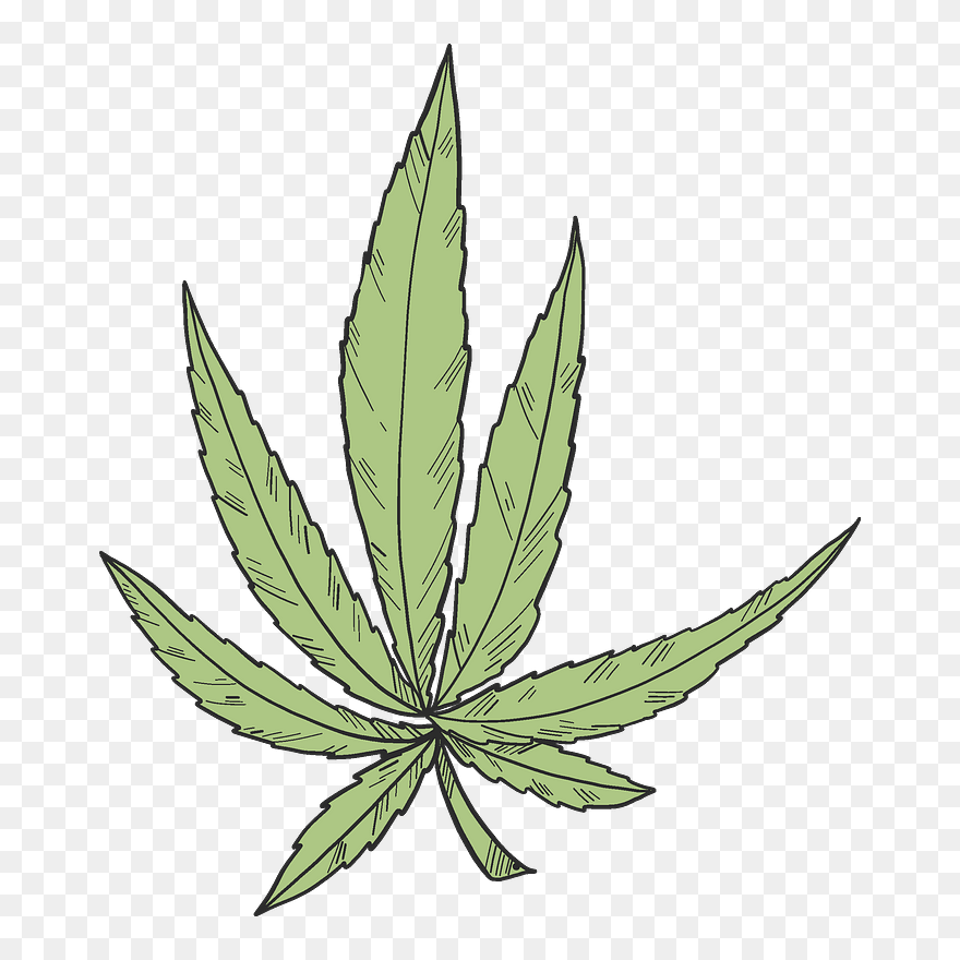 Marijuana Clipart - Plant Stem - Png Download