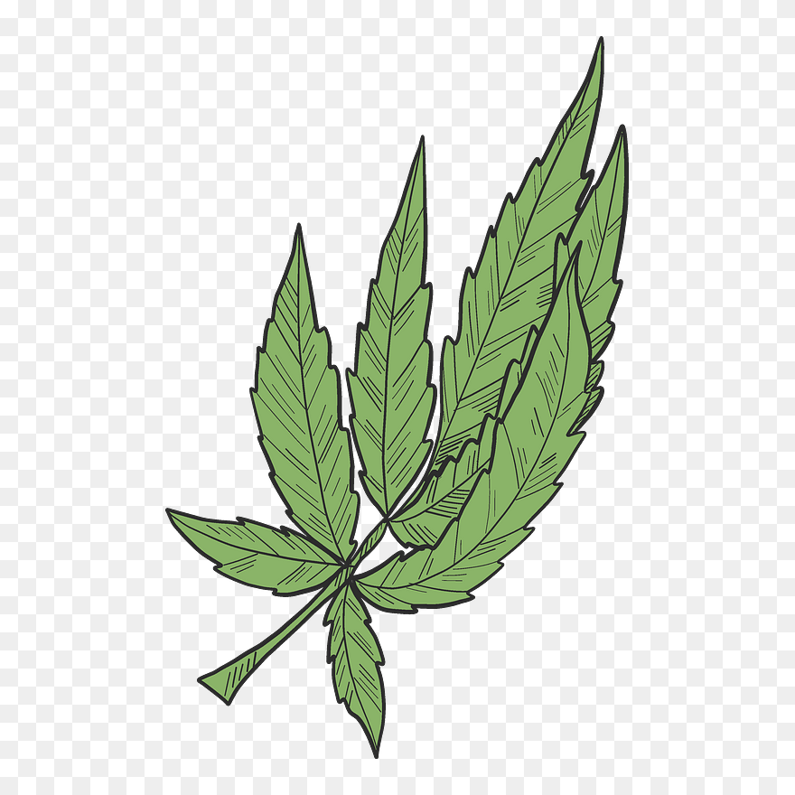 Marijuana Clipart - Illustration - Png Download