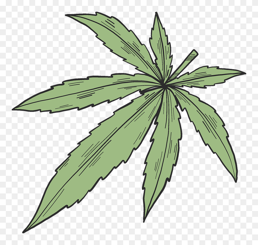 Marijuana Clipart - Illustration - Png Download