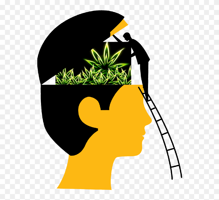 Clipart Psychologist - Png Download