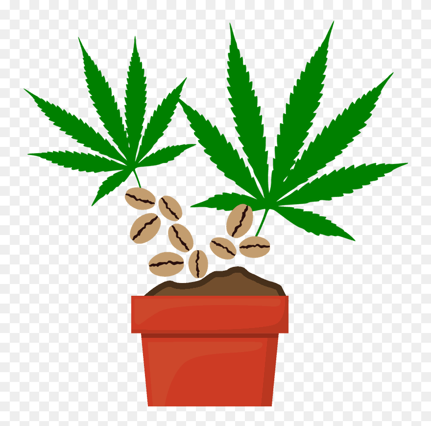 Transparent Marijuana Clipart - Marijuana Leaf Clipart - Png Download