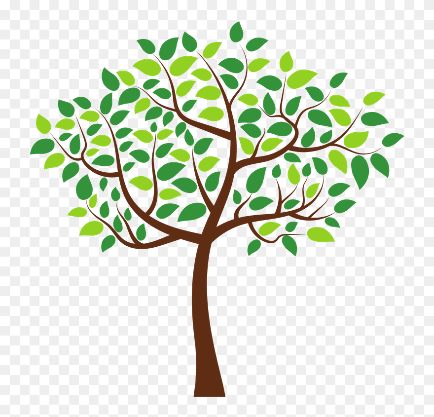 Transparent Tree Section Png Clipart