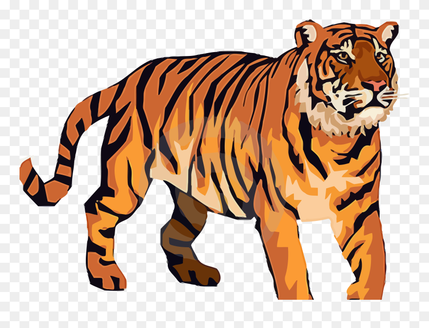 Tiger Clipart - Png Download