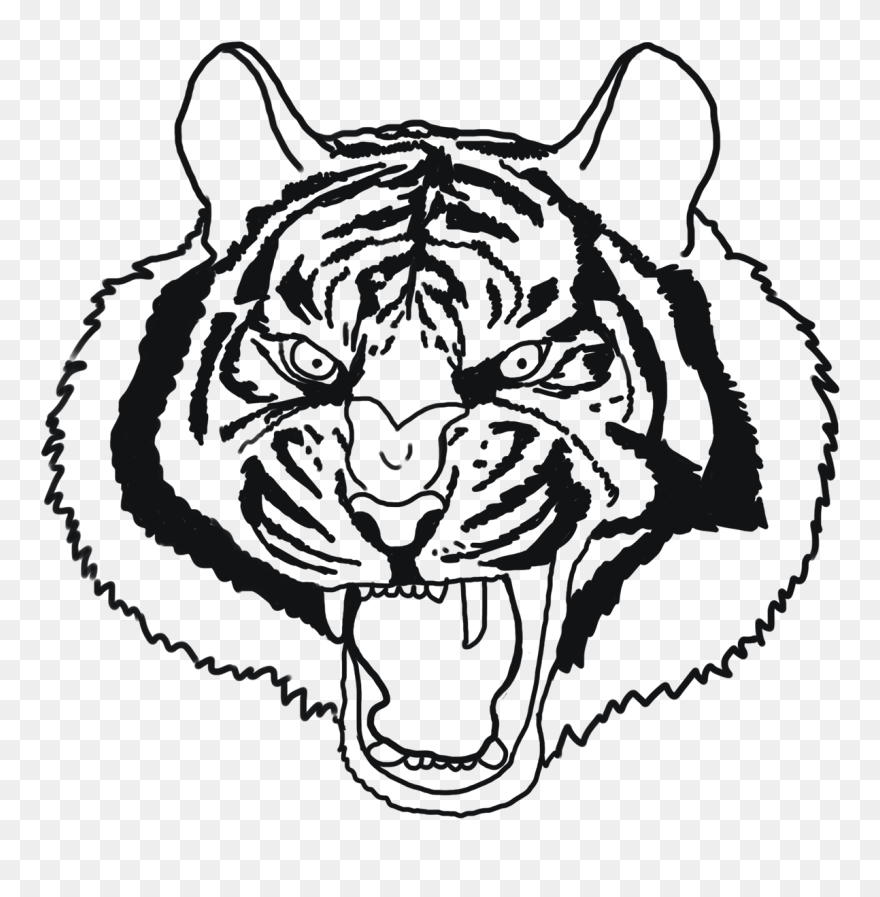 Tiger Face Drawing Angry Tiger - Siberian Tiger Clipart