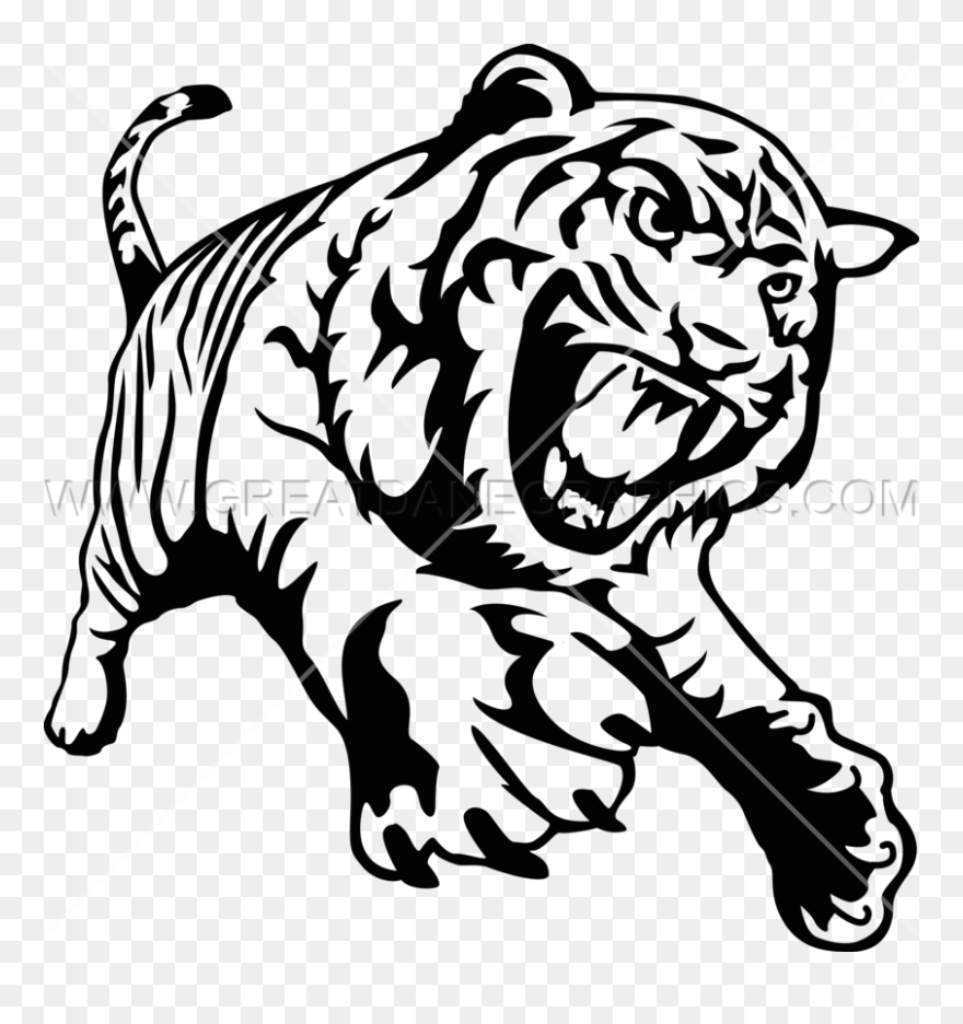Tiger Drawing - Full Body Tiger Drawing Clipart
