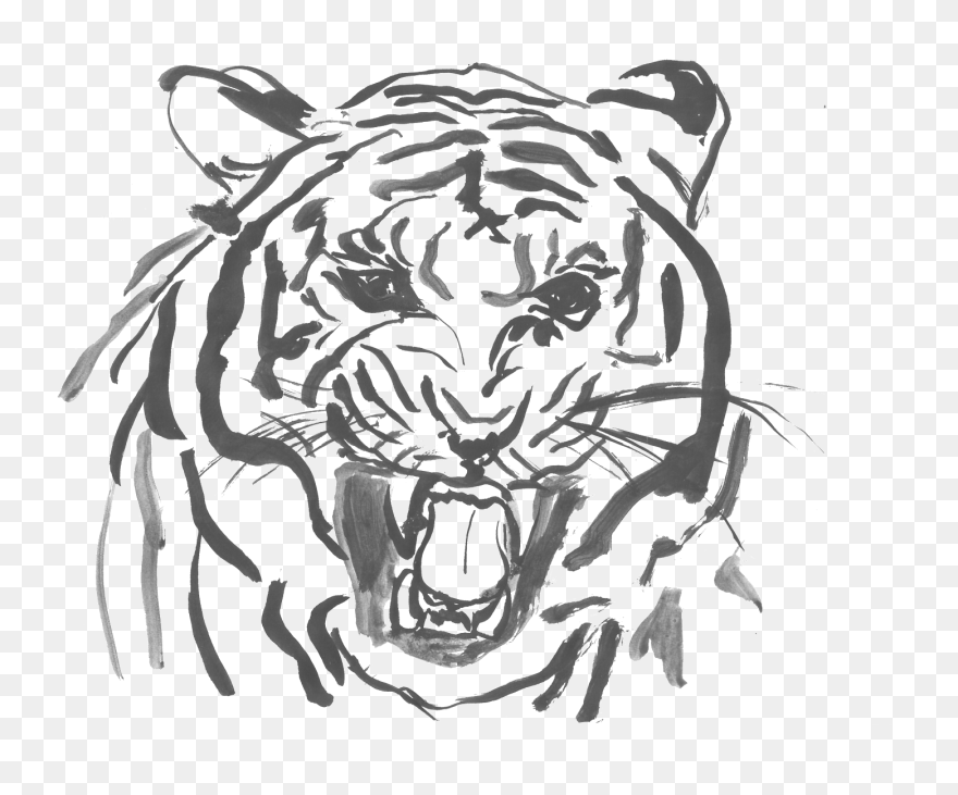 Savage Drawing Tiger - Siberian Tiger Clipart
