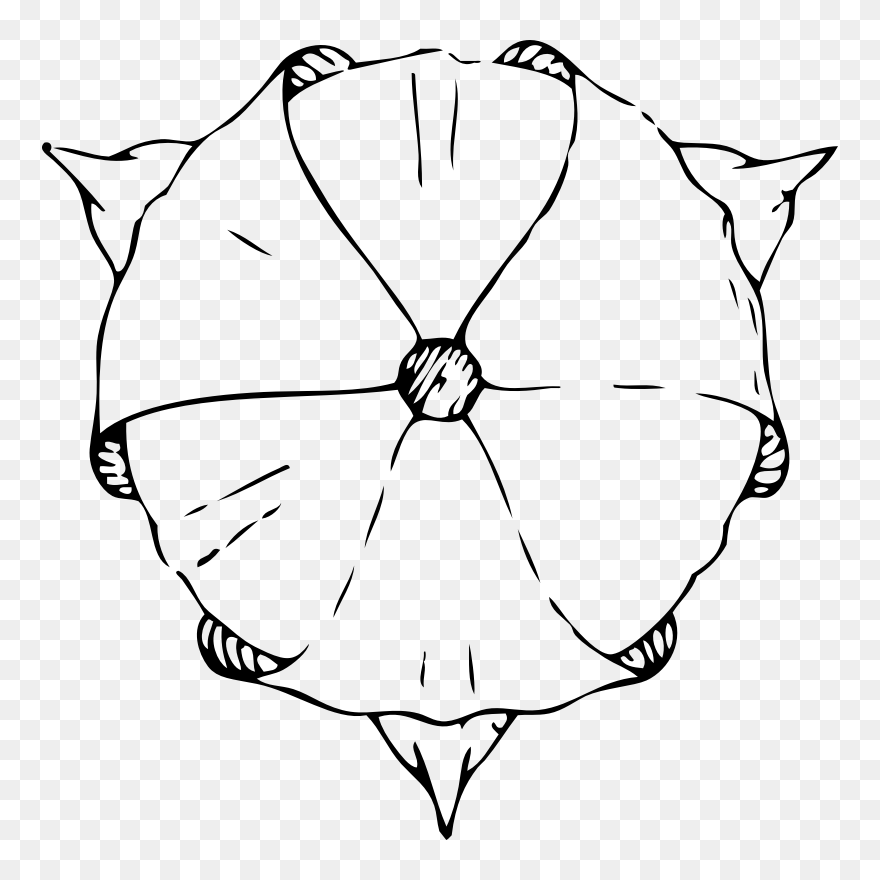 Tulip Top View Png Clip Arts - Tulip Top View Drawing Transparent Png