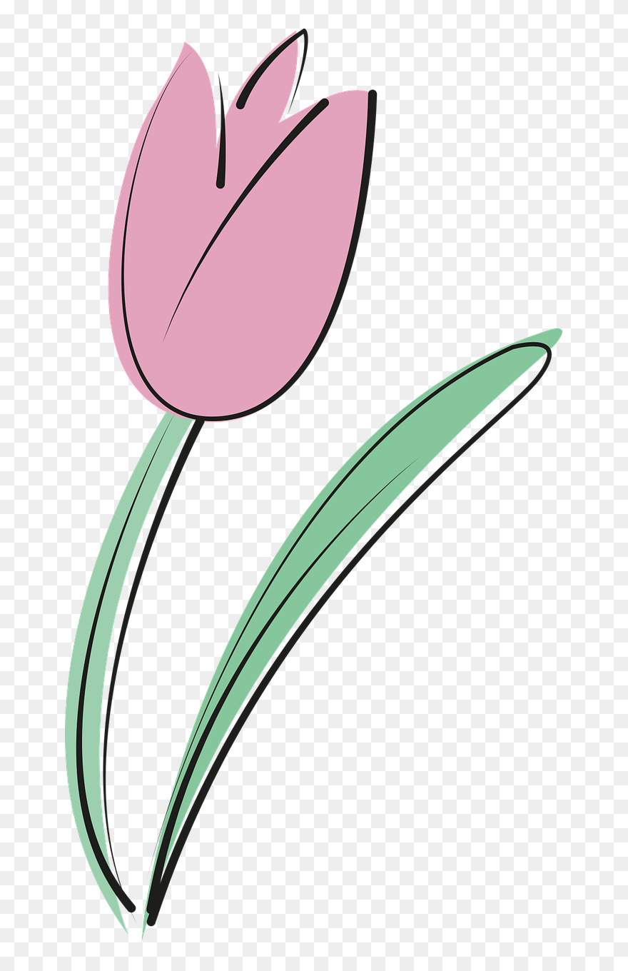 Clip Art - Png Download