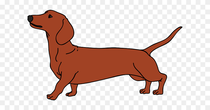 Puppy Vector Png - Dachshund Vector Clipart