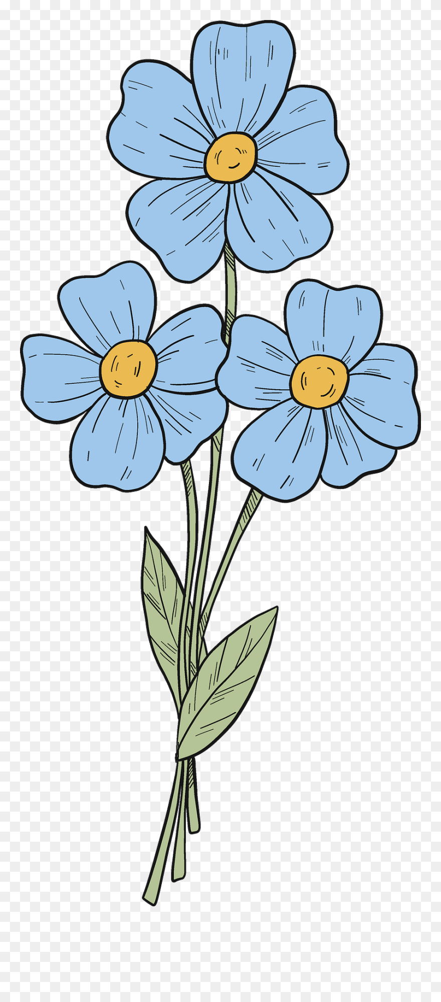 Clip Art - Png Download