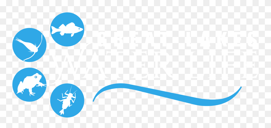 Go To Great Lakes Water Life Home Page - Water Is Life Banner Clipart