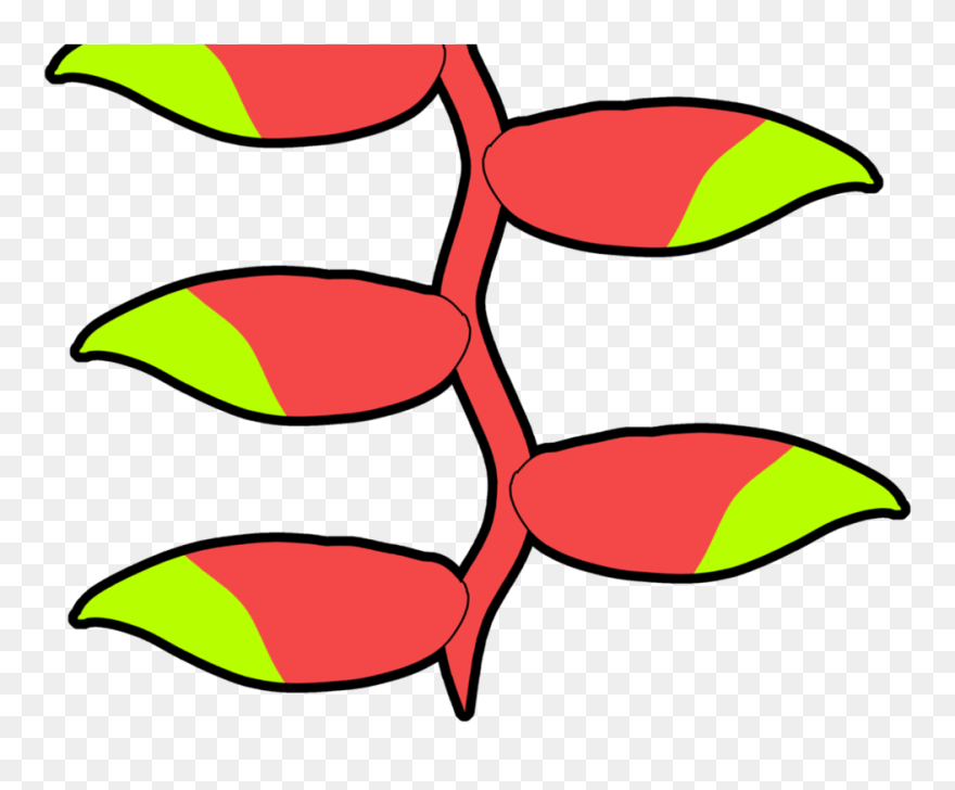Heliconia Rostrata / Clipart