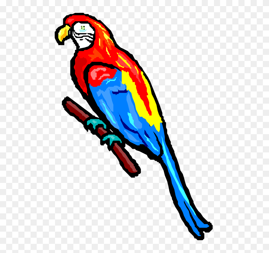 Jimmy Buffett Parrot Clipart