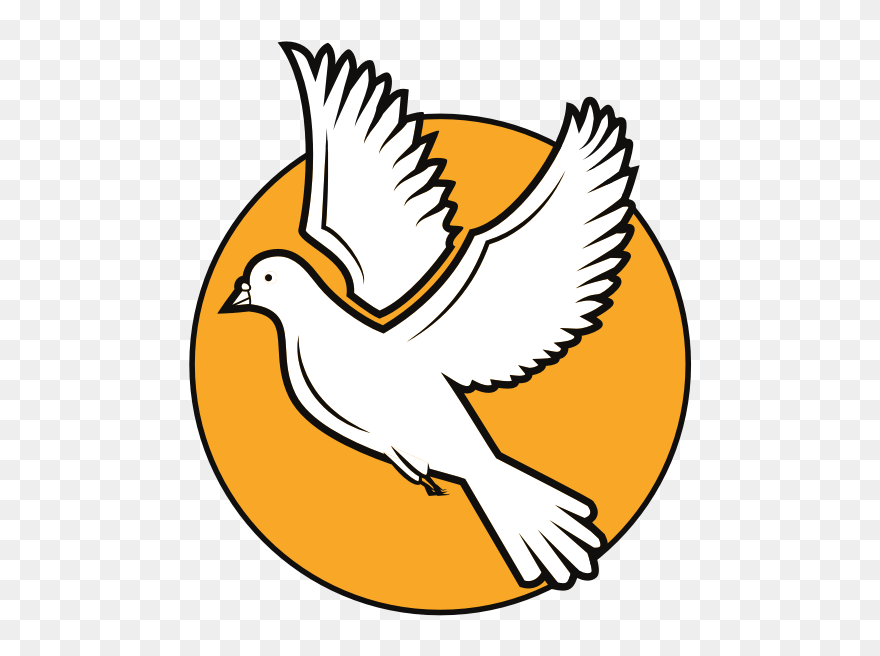 White Dove-1578931471 - Ave De La Paz Png Clipart