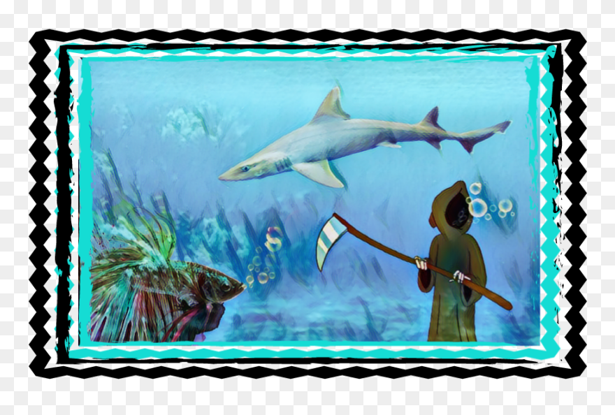 #photo #layer #clipart #shark #grim Reaper - Tiger Shark - Png Download