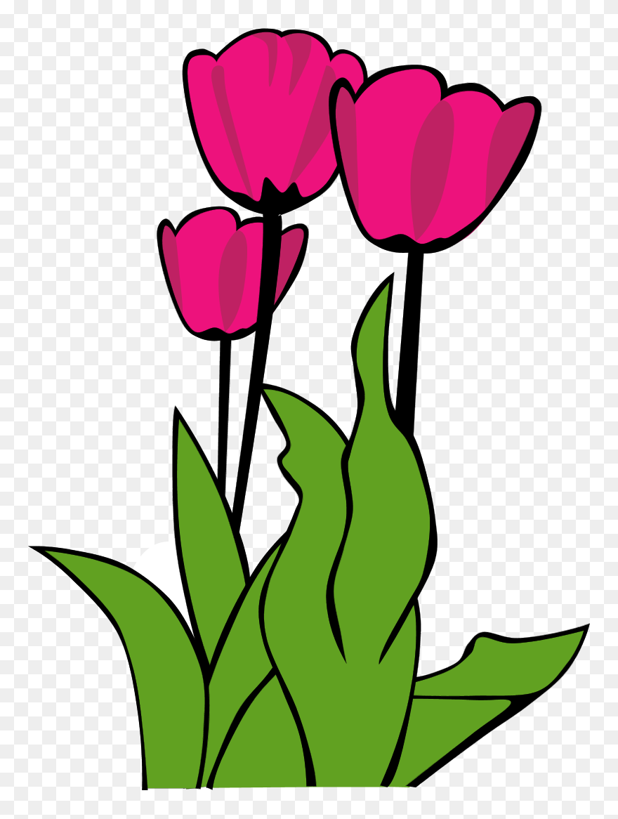 Tulip Clip Art - Png Download
