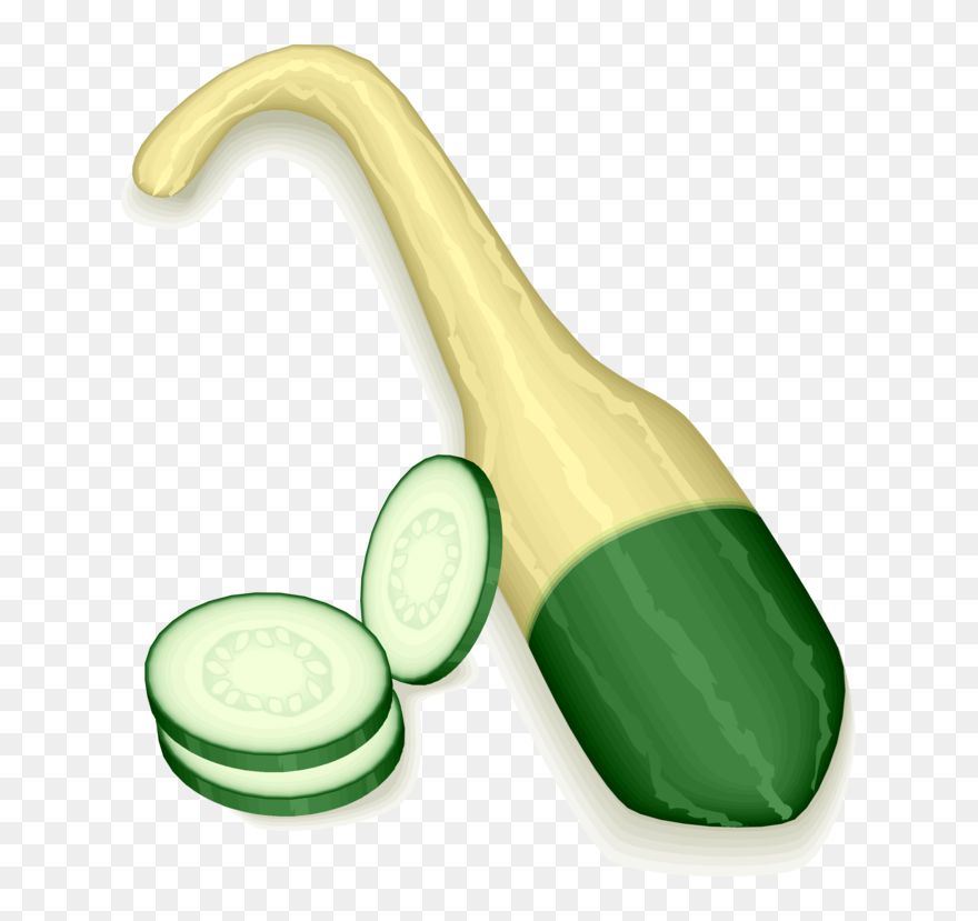 Transparent Zucchini Clipart - Squash - Png Download