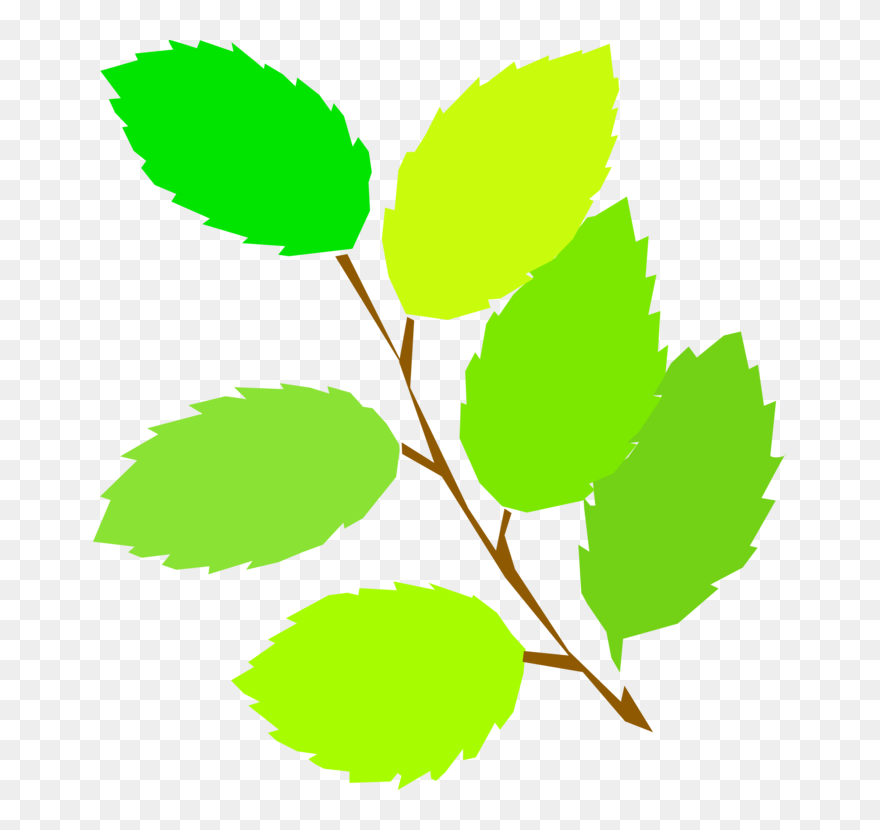 Plant,leaf,tree - Spring Clip Art - Png Download