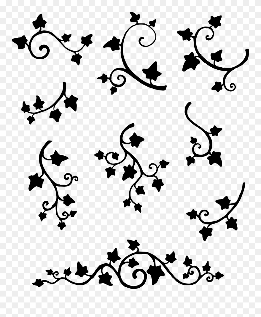 Ivy Clipart Line - Ivy Silhouette - Png Download