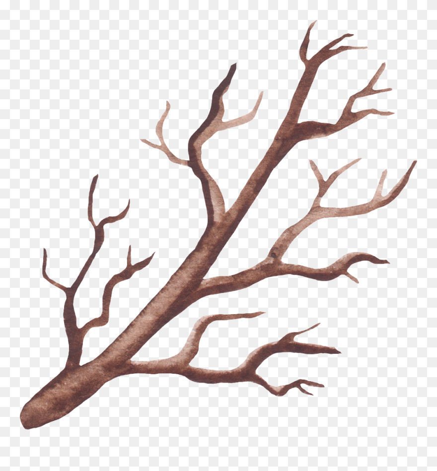 #twig - Illustration Clipart