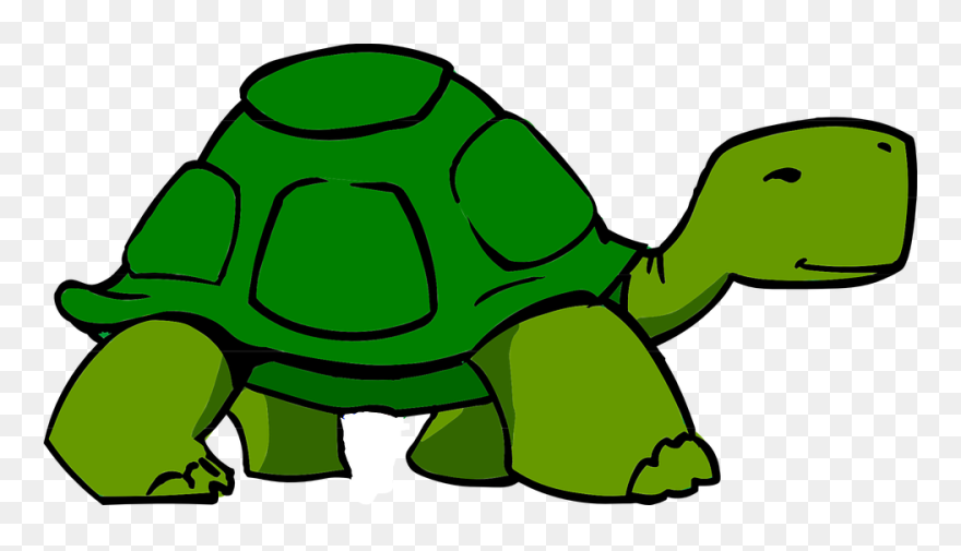 The Best Free Tortoise Clipart Images - Animated Image Of Turtle - Png Download