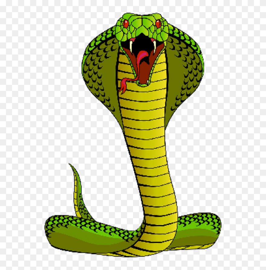 Library Of Banner Black And White Cobra Snake Png Files - Scary Snake Clipart Transparent Png