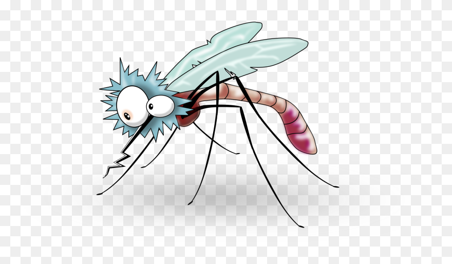 Clipart - Transparent Background Mosquito Clipart - Png Download