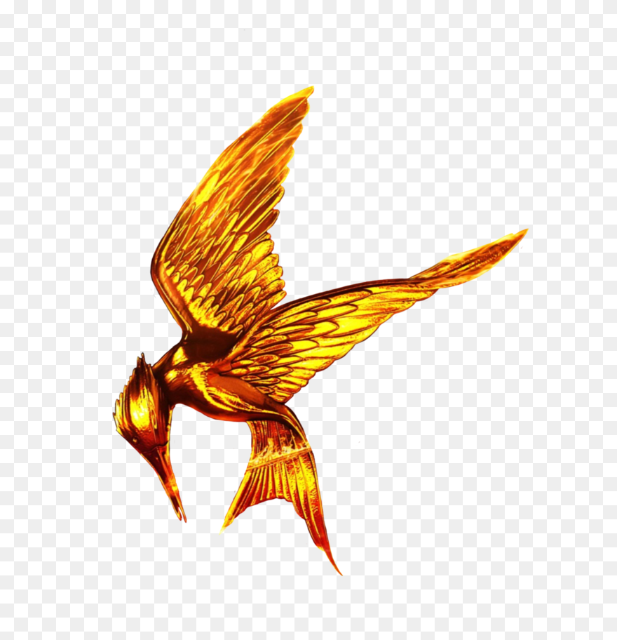 Hunger Games Clipart Bow Arrow - Transparent Hunger Games Logo - Png Download
