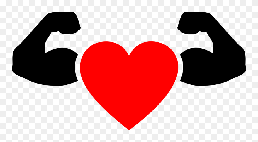 Heart,love,organ - Heart With Muscles Clipart - Png Download