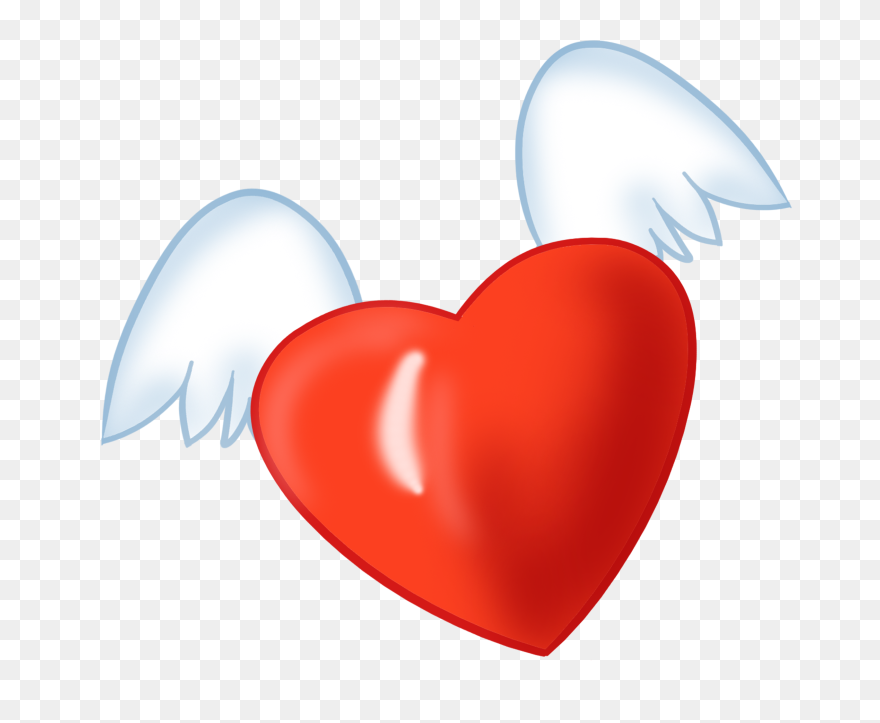 Heart Organ Clipart - Png Download