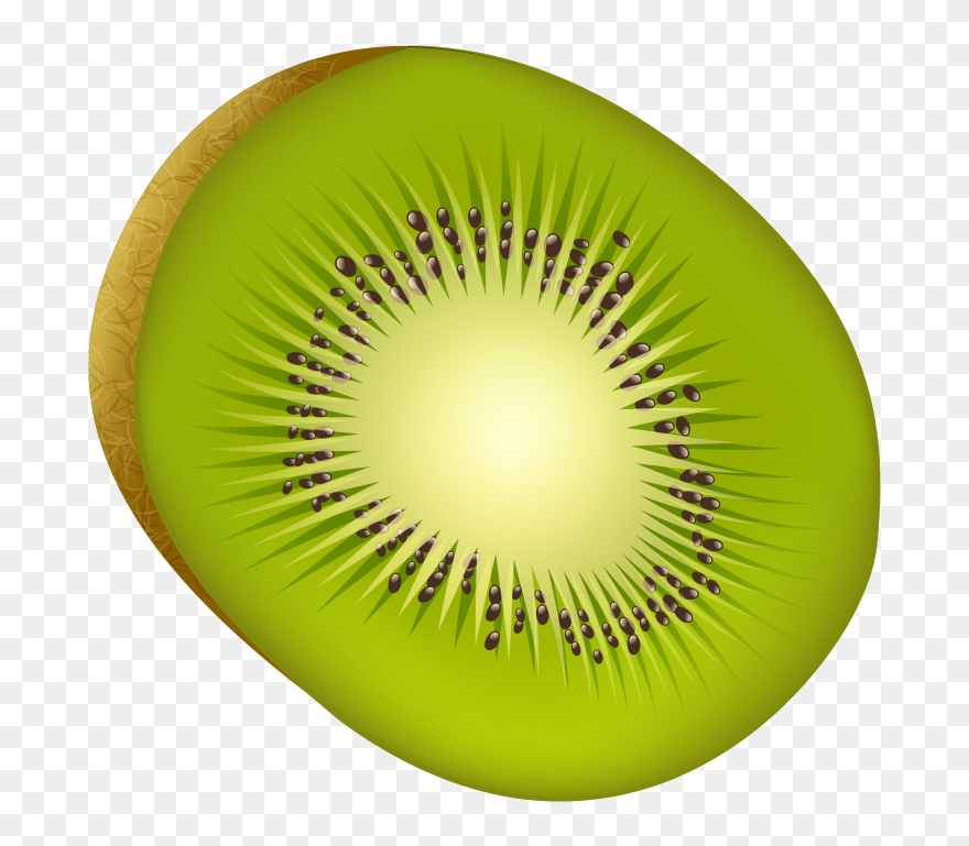 Kiwi Fruit Png Image Free Download Searchpng - Kiwifruit Clipart