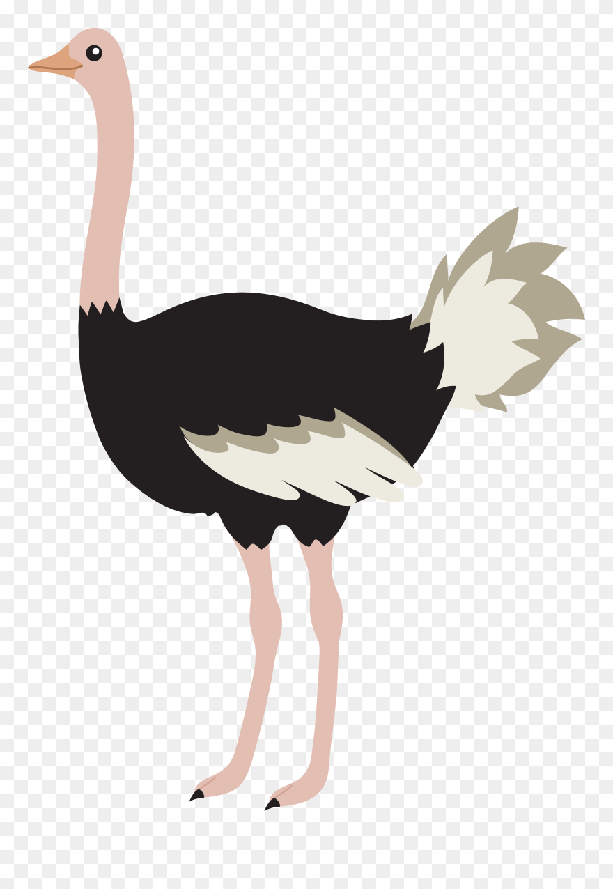 Ostrich Clipart - Png Download